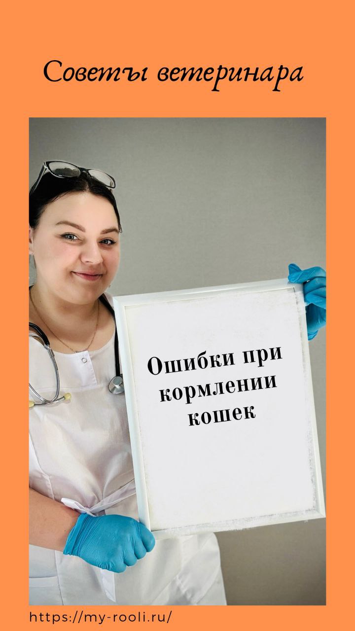 Ошибки при кормлении кошек. смотреть онлайн