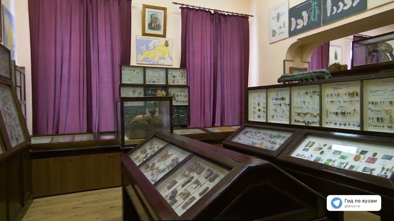 СПбГЛТУ — Музей лесной энтомологии им. М.Н. Римского Корсакова смотреть онлайн