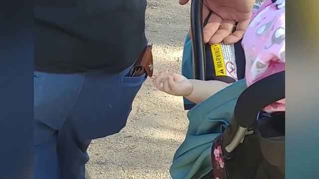 Imagine If There Was NO GLASS! Funny Babies At The Zoo #3 | Life Funny Pets ?? смотреть онлайн