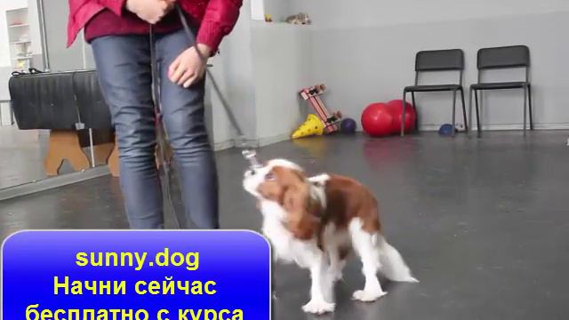 Отказ подбора с земли