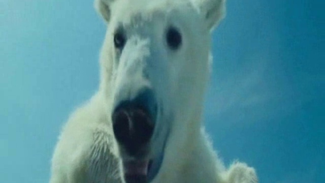 Limp Bizkit – Behind Blue Eyes смотреть онлайн