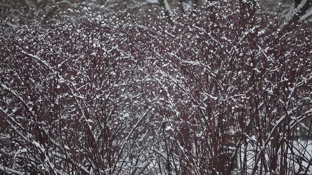 Relax - winter смотреть онлайн