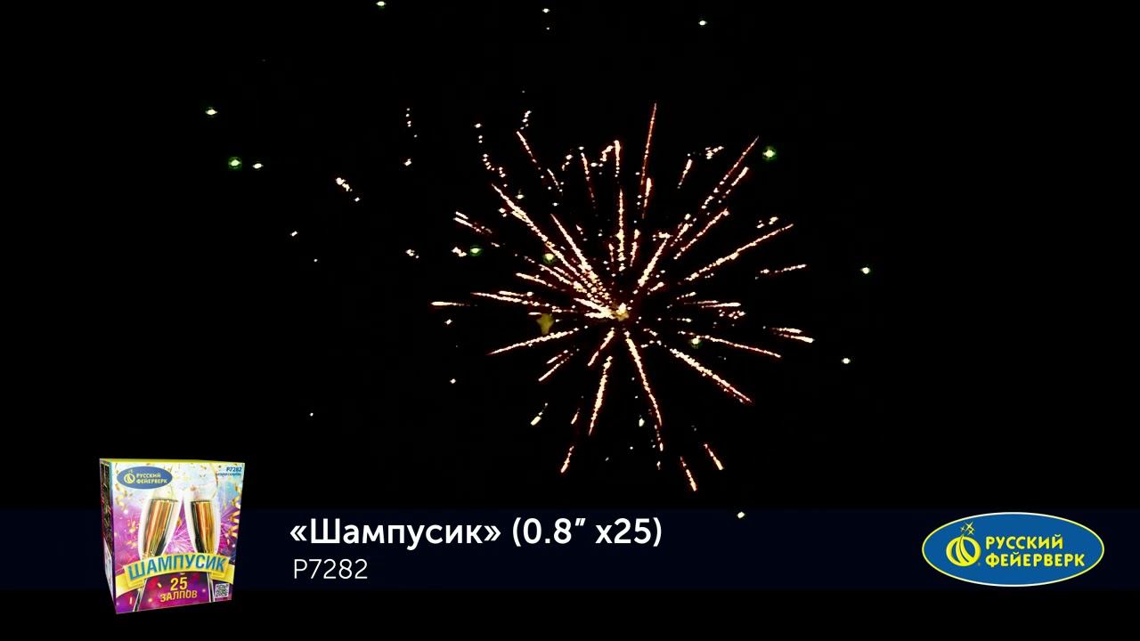 P7282 смотреть онлайн