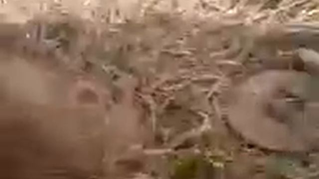 конина троянского коня смотреть онлайн