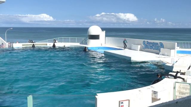 ◆鴨川シーワールド　シャチパフォーマンス（2019．08．04）15：00~ ◆ смотреть онлайн