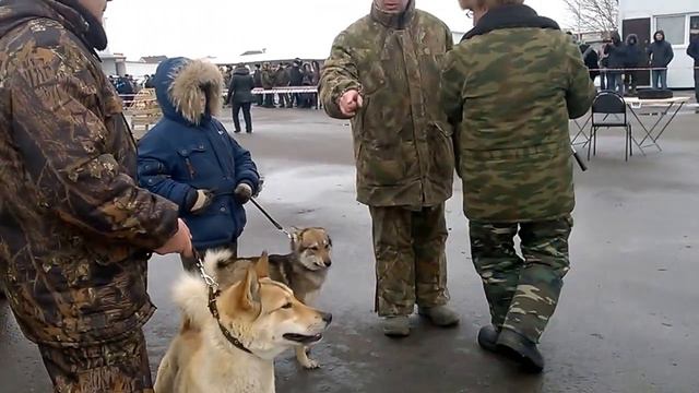 WP 20150301 036 смотреть онлайн