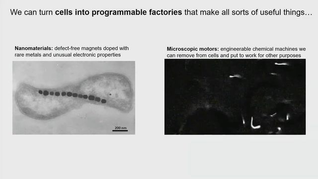 What Are Cells? (…And Could They Be More?) смотреть онлайн