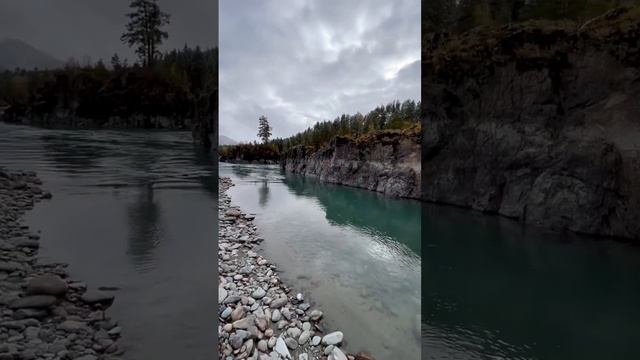 🏔️Алтай🍁 #алтай #горныйалтай #горы #природа #река #катунь #красота #путешествие #осень смотреть онлайн