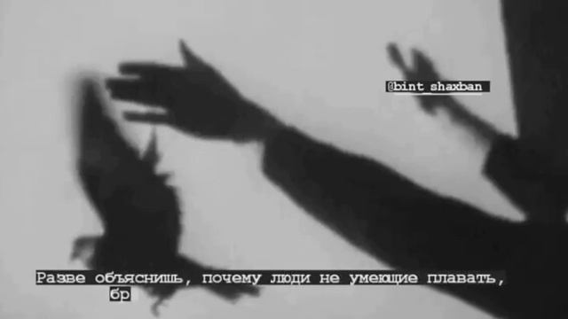 Разве объяснишь, почему люди не умищие плавать, бросаются с моста за утапаищим... смотреть онлайн