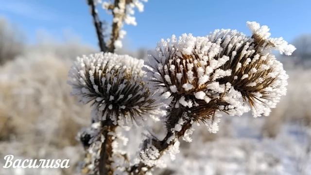 29 января народный праздник Петров день. Что нельзя делать. Народные традиции и приметы. смотреть онлайн