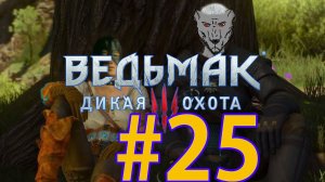 Ведьмак 3: Дикая охота Прохождение (2022) ч25 - чистим вышки