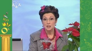 АЗН. Биология. Рождественский выпуск. Спячка. Молочай. Осёл (Зимние праздники)