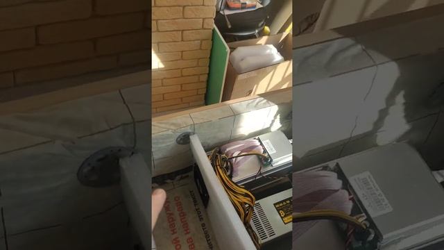 шумобокс на два асика смотреть онлайн