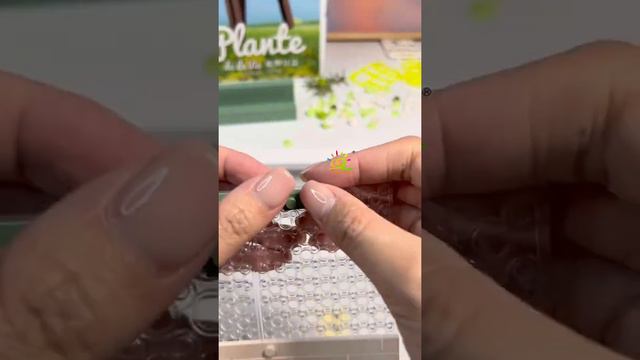 【HUIQIBAO TOYS】Gypsophila Desktop Ornament #lego #legomoc смотреть онлайн