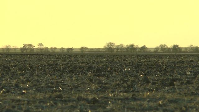 Охота из скрадка#охота#hunting смотреть онлайн