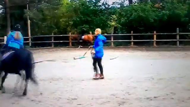 Галоп сразу после падения .