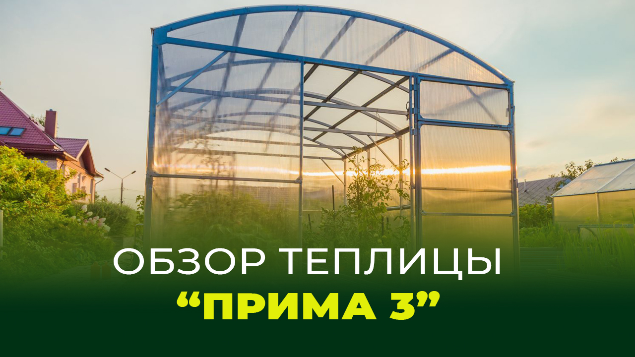 Обзор теплицы "Прима 3"