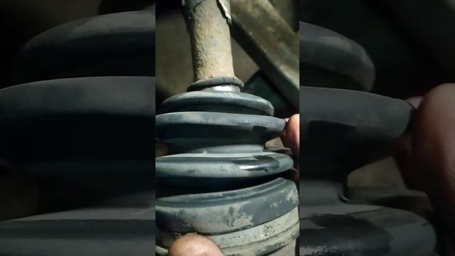 Хобби Сокровищница