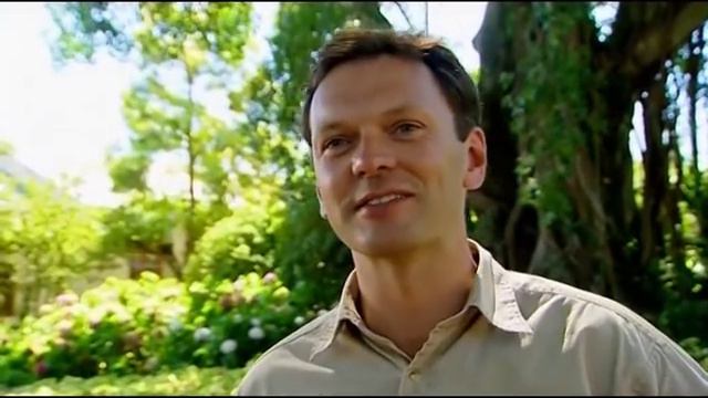 ВИНОГРАДНЫЙ ДЕНЬ 3 я серия 1 смотреть онлайн