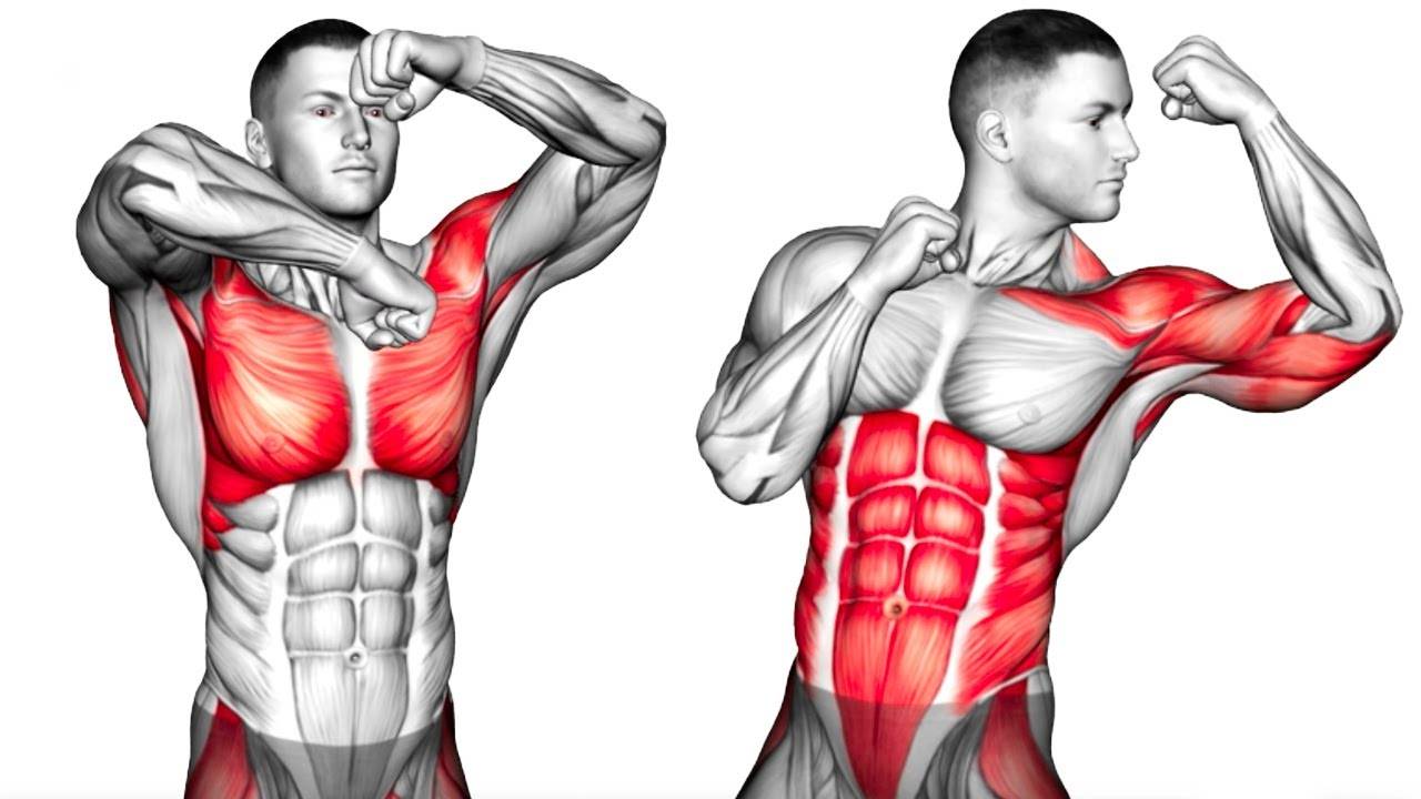 Раскидать руки после тренировки с гантелями или избавится от жира поможет тренировка по боксу. смотреть онлайн