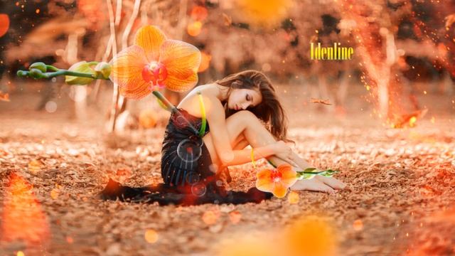 Mongolca - Idenline (Best Music my Friends) Official смотреть онлайн