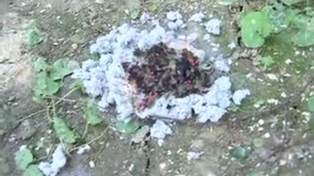 эковата премиум смотреть онлайн