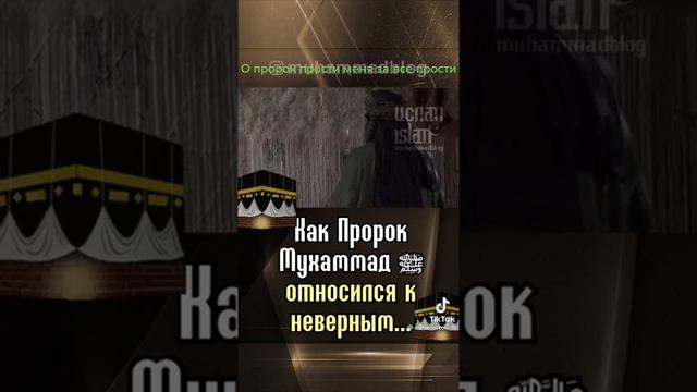 Как Пророк Мухаммад С.А.В относился к неверным смотреть онлайн