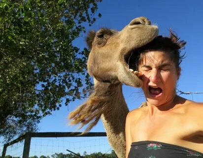 Ржака до слёз? Лучшие приколы. смотреть онлайн