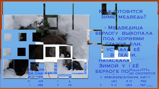 Презентация как звери готовятся к зиме смотреть онлайн