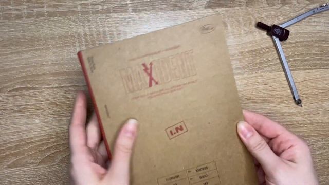 Распаковка Stray Kids | плюш + Maxident Case Ver.