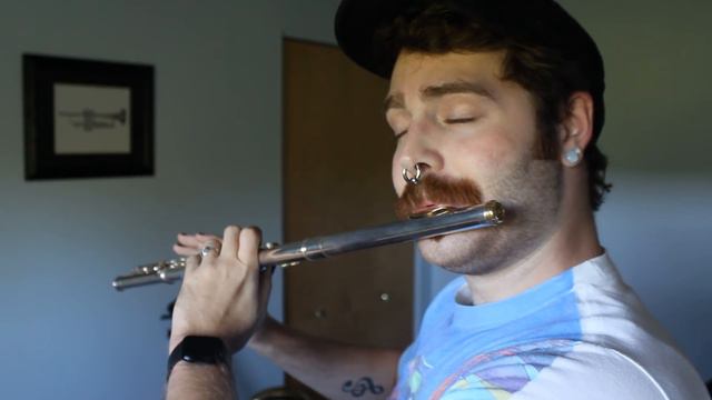 Crimson Loftwing - Skyward Sword Wii [8BitBrigadier Cover] смотреть онлайн