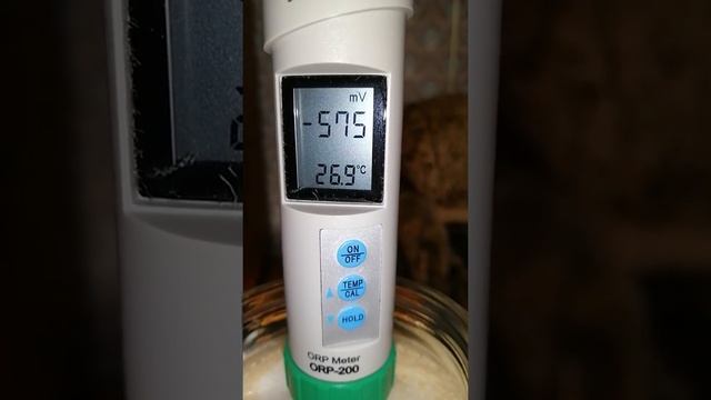 Очищение почек - Пшеном. смотреть онлайн