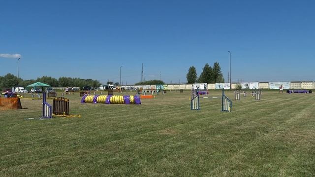 Скрипица Д3 Рик смотреть онлайн