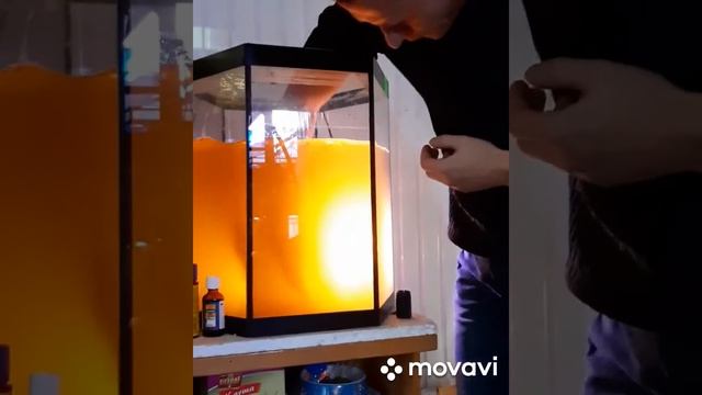 Что делать если вода в аквариуме мутная?И стоит долгое время!? смотреть онлайн