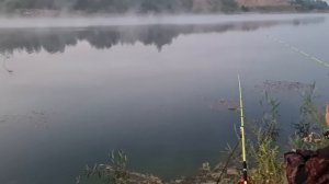 Рыбалка с женой с ночёвкой! Такого никто не ожидал!