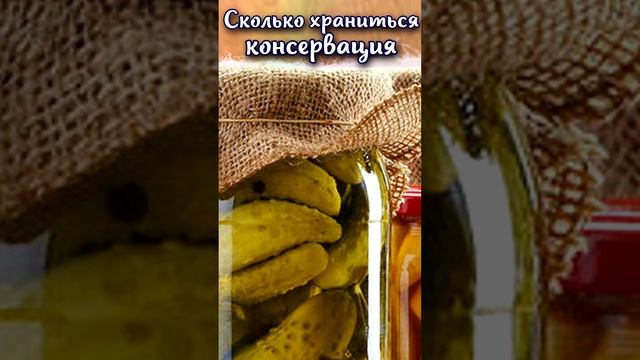 Сколько лет храниться консервация? #shorts смотреть онлайн