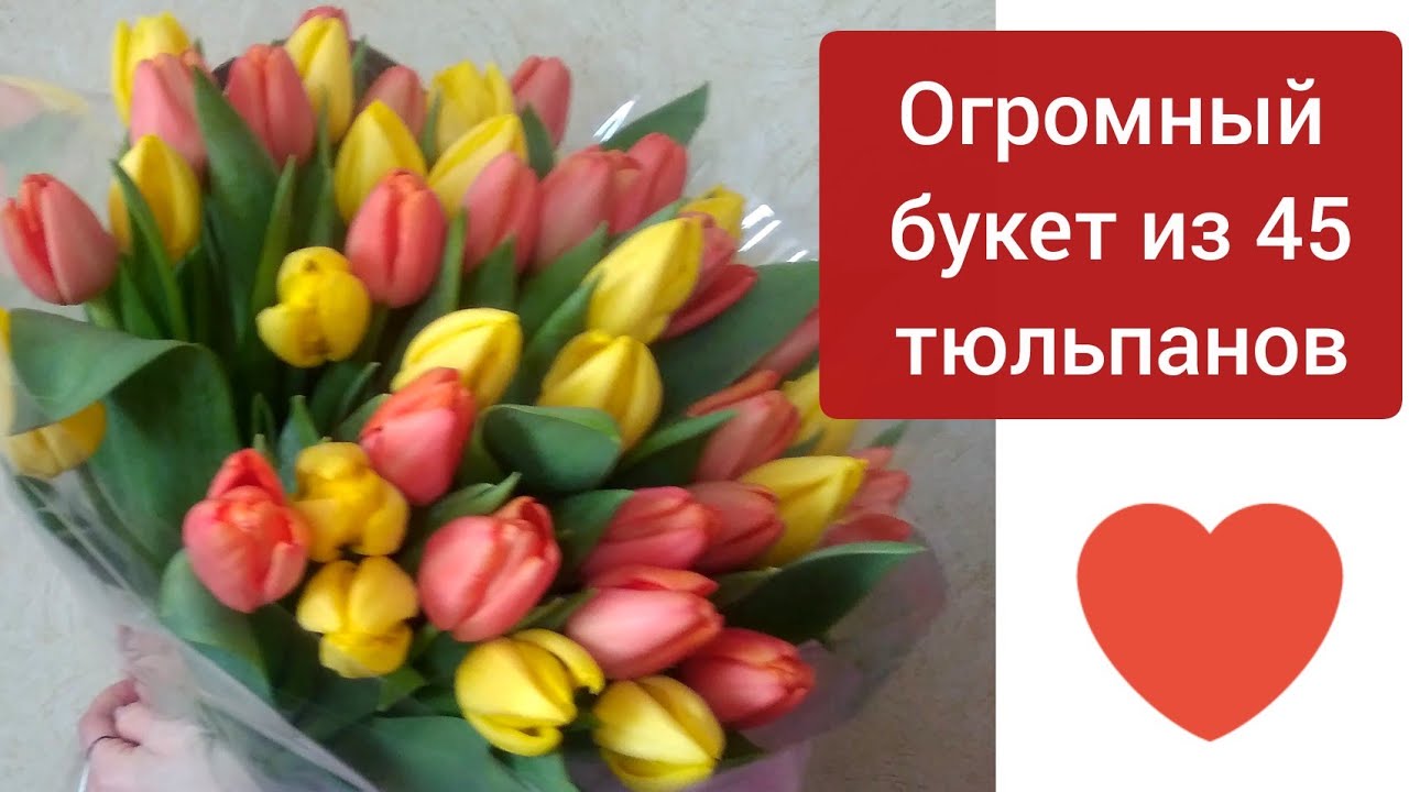 ⚫Выгонка тюльпанов / Собираю огромный букет