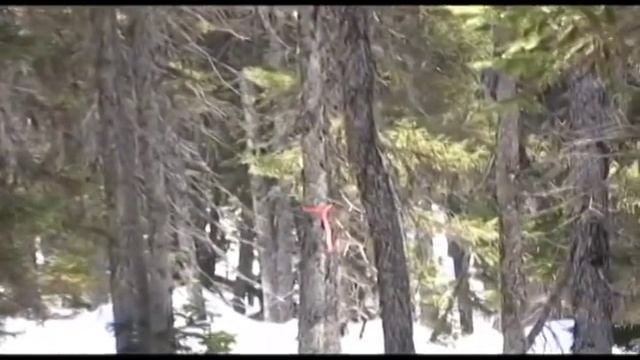 Yamaha Venture Multi Purpose In Action смотреть онлайн