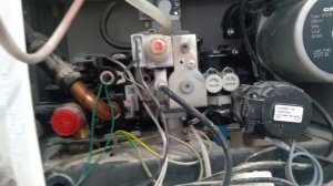 Рассказываю про основные конструктивные элементы котла Baxi Eco Home 24F