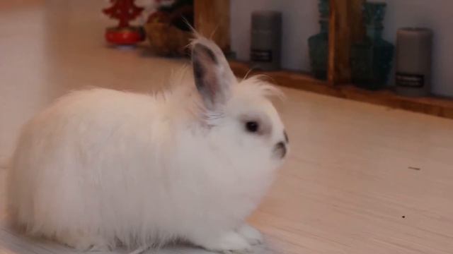 Студийное видео смотреть онлайн