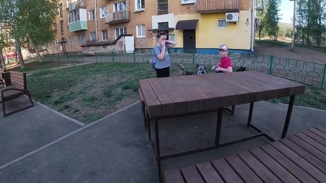 У них нету никого. Они очень голодны! Накормил бездомных животных. Крутой паркур на крыше. смотреть онлайн