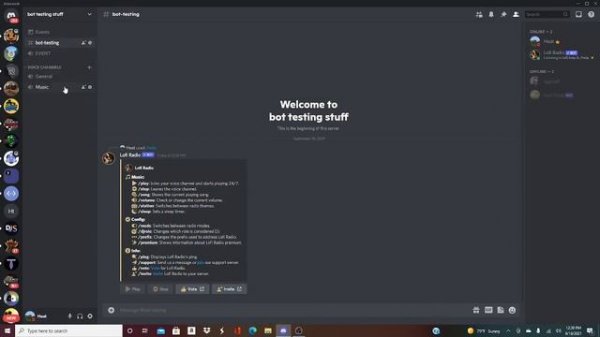 Lofi Radio Bot Setup Tutorial (Groovy and Rythm alternative) Discord Bot Help