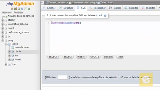 SQL 20: Manipulation de Données: Interrogation d'une base de données et la Clause As смотреть онлайн