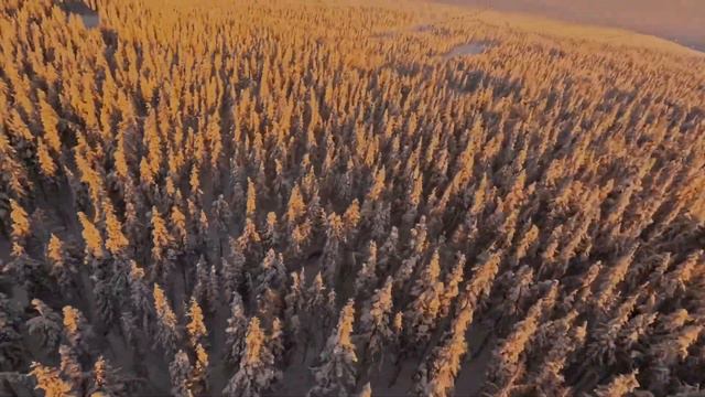 DJI Avata FPV | The Smart FPV Drone We've Been Waiting For? #DJIAvata #BornToFly #DJI смотреть онлайн