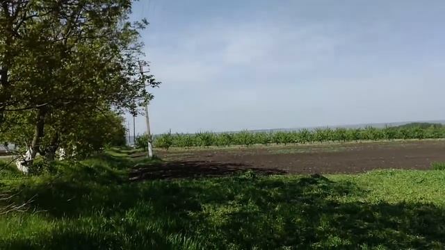 Три дня работы в 5 минутах 06 05 2017 смотреть онлайн