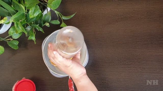 Homemade Banana Peel Fertilizer | Free Organic Fertilizer смотреть онлайн