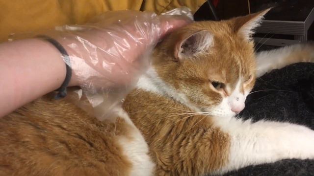 Ответсвенная Марусенька смотреть онлайн