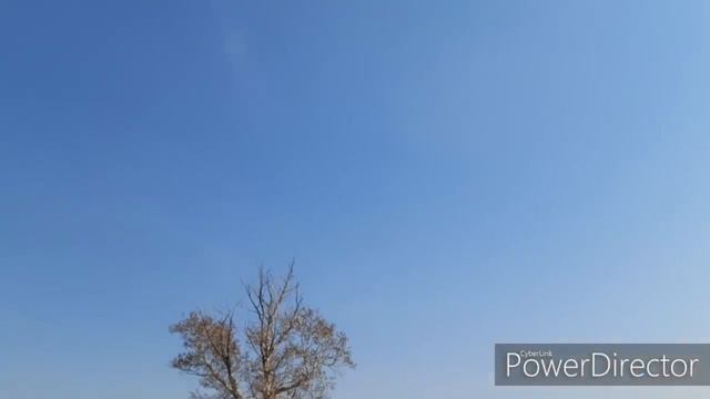 Работа с САМОГО утра 🤗 плоскорезы В деле👍👍👍 смотреть онлайн