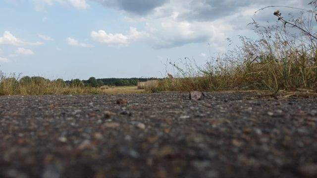 Дача 2021 Лето Квадрик 38 смотреть онлайн