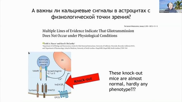 "Спорные вопросы неврологии" 05 июня 2020 г, часть 2 смотреть онлайн